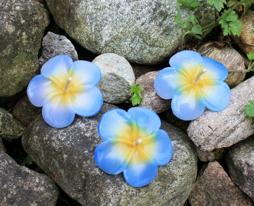 Schwimmkerzen blüten blau - 25,