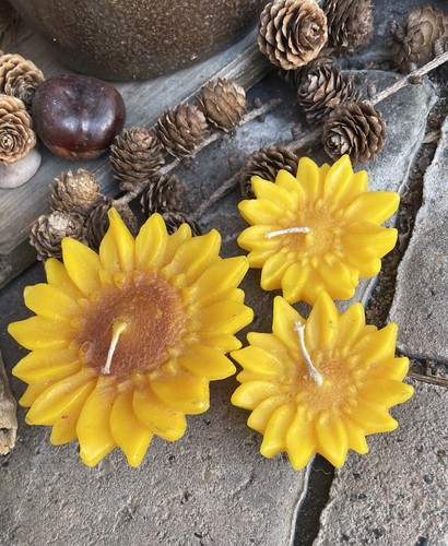 Sonnenblumen - , 🌻
